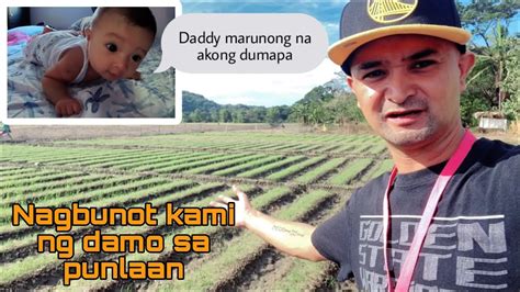 nagbubunot ng damo in english|Nagbubunot kami ng damo in English with examples .
